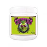ADVANCED NUTRIENTS - BIG BUD POWDER IN POLVERE - 500GR
