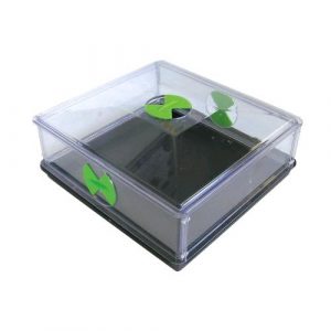 NUTRICULTURE - VITOPOD SMALL 1 RIPIANO
