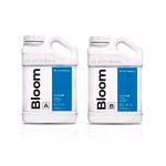 ATHENA - BLENDED LINE - BLOOM A+B - 18