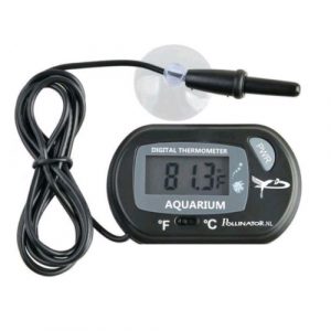 POLLINATOR - TERMOMETRO DIGITALE