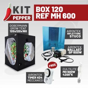 KIT PEPPER - BOX 120 - REF MH 600