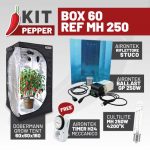 KIT PEPPER - BOX 60 - REF MH 250