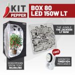 KIT PEPPER - BOX 80 - LED LT 150