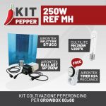 KIT PEPPER 250W REF MH