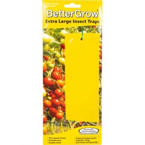 BETTERGROW - TRAPPOLE ADESIVE RETTANGOLARI XL (10PZ)