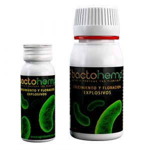 AGROBACTERIAS - BACTOHEMP - 10 GR