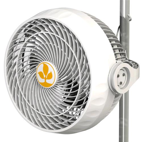SECRET JARDIN - MONKEY FAN 30W