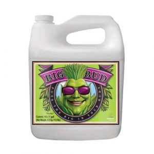 ADVANCED NUTRIENTS - BIG BUD - 23L
