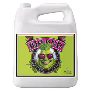 ADVANCED NUTRIENTS - BIG BUD - 5L