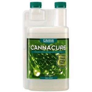 CANNA CURE RICARICA - 1L