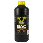 BAC - YUCCAH - 1L