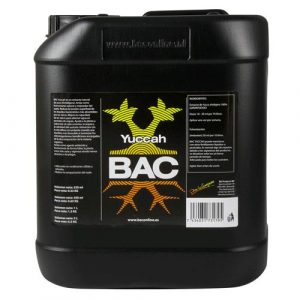 BAC - YUCCAH - 5L