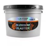 GROTEK - BLOSSOM BLASTER - 2