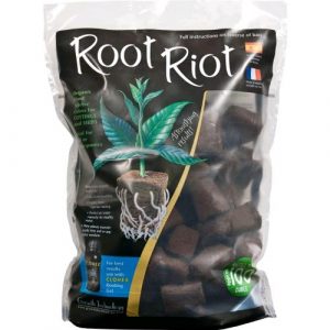GROWTH TECHNOLOGY - ROOT RIOT 100 PZ - 3.2X3.2X3.8 CM