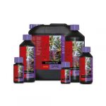 ATAMI B'CUZZ - COCO BLOOM STIMULATOR - 500ML