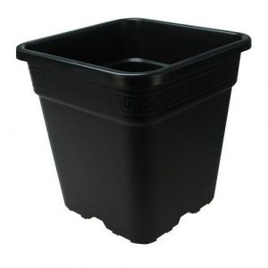 VASO QUADRATO IN PLASTICA NERO PIÙ RESISTENTE - 23X23X24 - 9 LITRI
