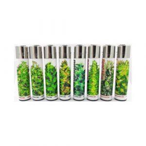 CLIPPER ACCENDINO PARADISE SEEDS - 48 PZ