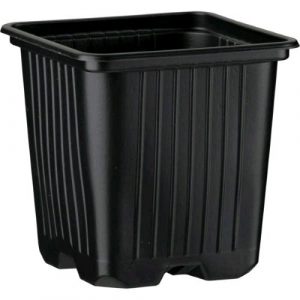 VASO QUADRATO IN PLASTICA TERMOFORMATA 8X8X8 - 0.35L