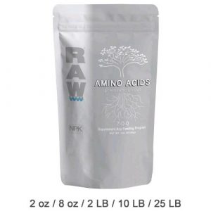 NPK INDUSTRIES - RAW AMINO ACIDS - AMINOACIDI GREZZI - 900GR